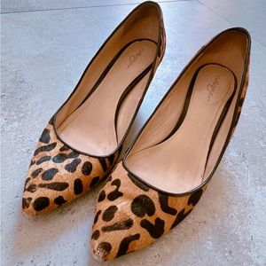 Leopard pony hair kitten heels by Halogen